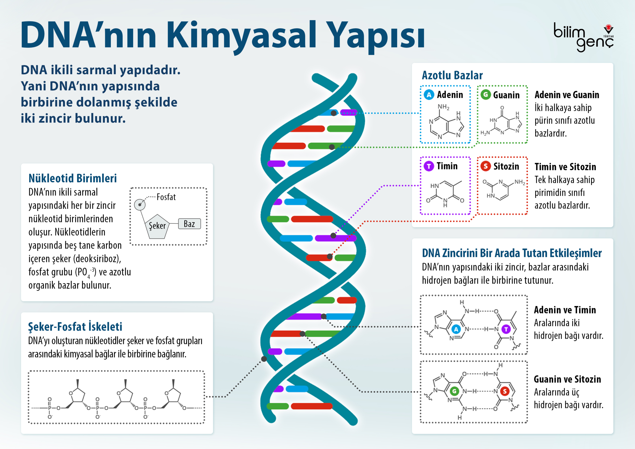 DNA'nın yeni özelliği