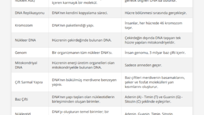 DNA'nın yeni özelliği