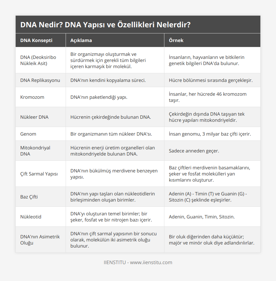 DNA'nın yeni özelliği