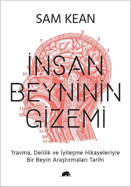 İnsan beyninin gizemleri